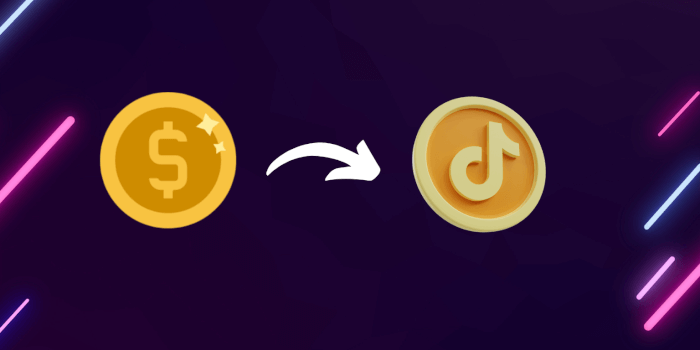 TikTok Punkte Rechner TikTok Coins in Euro